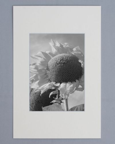Passe Partout 20x25 cm - Format de Foto 14x19 cm - Blanc